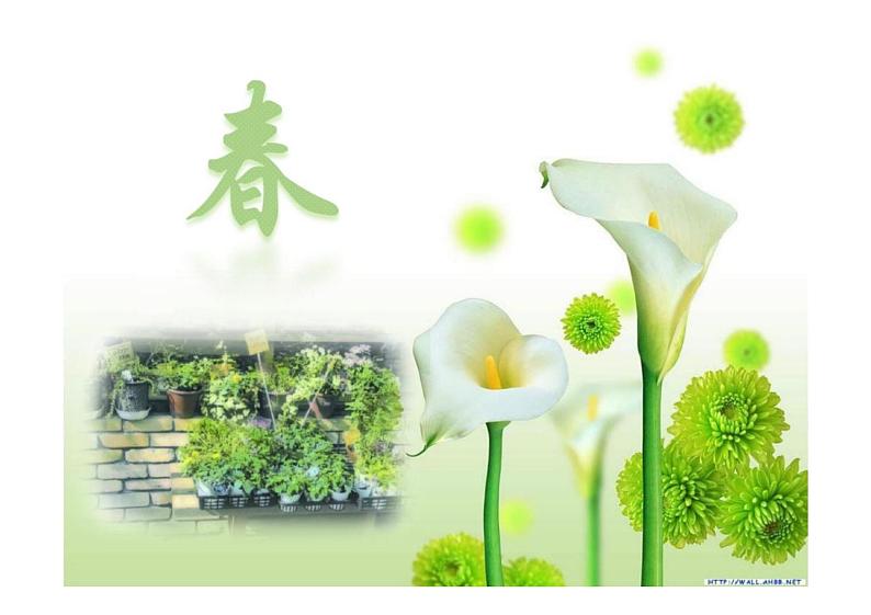 统编版语文七年级上册第1课《春》课件01