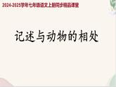 寫作 《記述與動(dòng)物的相處》（同步課件）2024-2025學(xué)年七年級(jí)語(yǔ)文上冊(cè)同步精品課堂（統(tǒng)編版2024）