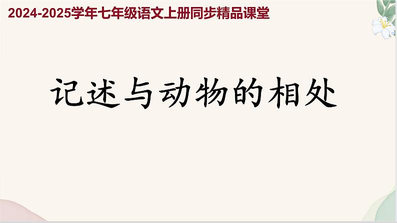 写作 《记述与动物的相处》（同步课件）2024-2025学年七年级语文上册同步精品课堂（统编版2024）01