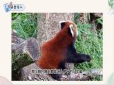 寫作 《記述與動(dòng)物的相處》（同步課件）2024-2025學(xué)年七年級(jí)語(yǔ)文上冊(cè)同步精品課堂（統(tǒng)編版2024）