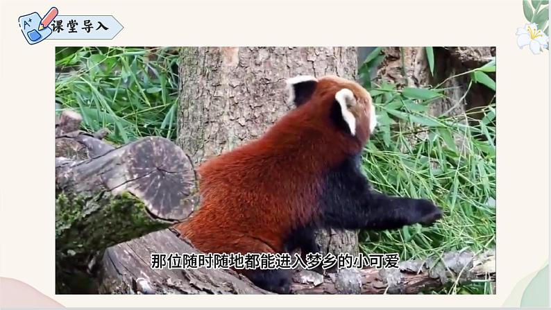 写作 《记述与动物的相处》（同步课件）2024-2025学年七年级语文上册同步精品课堂（统编版2024）02