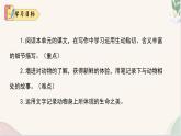 寫作 《記述與動(dòng)物的相處》（同步課件）2024-2025學(xué)年七年級(jí)語(yǔ)文上冊(cè)同步精品課堂（統(tǒng)編版2024）