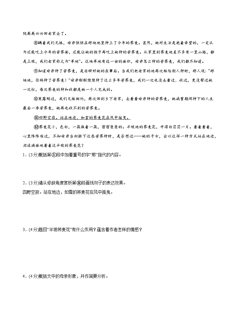 阅读综合实践（分层作业）（含答案）2024-2025学年七年级语文上册同步精品课堂（统编版2024）02