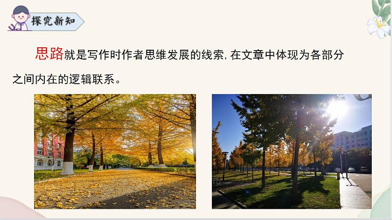 《思路要清晰》（同步课件）2024-2025学年七年级语文上册同步精品课堂（统编版2024）第6页