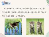 第17课 《猫》（同步课件）2024-2025学年七年级语文上册同步精品课堂（统编版2024）