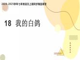 第18课 《我的白鸽》（同步课件）2024-2025学年七年级语文上册同步精品课堂（统编版2024）