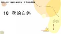 初中语文人教部编版（2024）七年级上册（2024）第五单元任务一 体会人物与动物的关系18 我的白鸽/陈忠实教学ppt课件