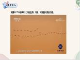 第19课 《大雁归来》（同步课件）2024-2025学年七年级语文上册同步精品课堂（统编版2024）