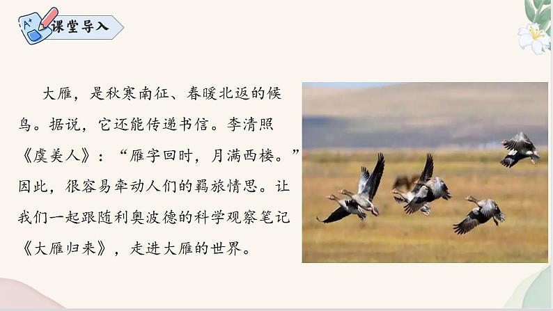 第19课 《大雁归来》（同步课件）2024-2025学年七年级语文上册同步精品课堂（统编版2024）03