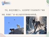 第20课 《狼》（同步课件）2024-2025学年七年级语文上册同步精品课堂（统编版2024）