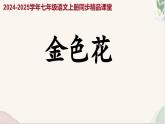 第7课 《金色花》（同步课件）2024-2025学年七年级语文上册同步精品课堂（统编版2024）