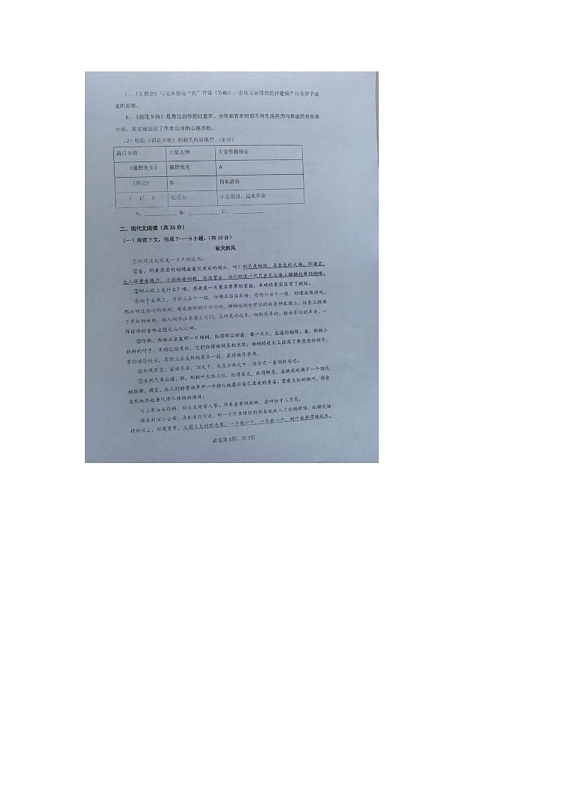 河南省郑州枫杨外国语学校2024-2025学年七年级上学期第一次月考语文试题03