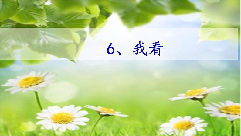 部编版语文九年级上册 6、我看PPT课件第1页