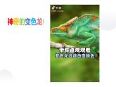 部编版语文九年级下册6课《变色龙》教学设计课件PPT