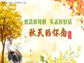 （ 人教部编版2024）七年级语文上册同步第5课 秋天的怀念 课件+教案+导学案+同步作业含解析版+素材
