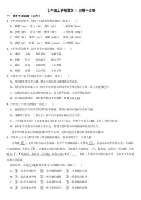 四川省眉山市仁寿县2024年七年级上学期语文期中试卷【含答案】