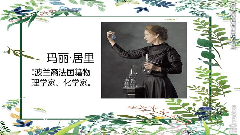 人教部编版（2024）八年级上册第二单元9*美丽的颜色课件PPT第2页