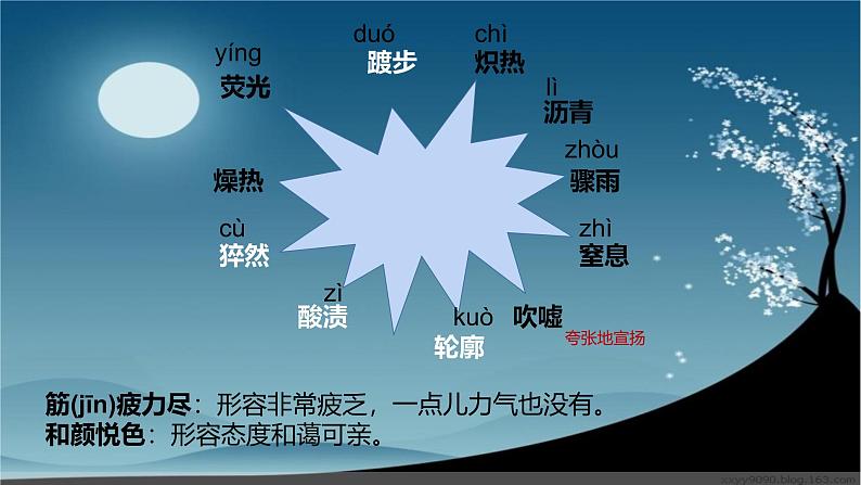 人教部编版（2024）八年级上册第二单元9*美丽的颜色课件PPT第5页