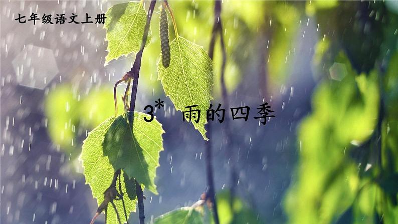 3雨的四季 七年级语文上册同步课件（ 人教部编版2024）第1页