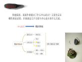 部编版九年级上7《敬业与乐业》课件