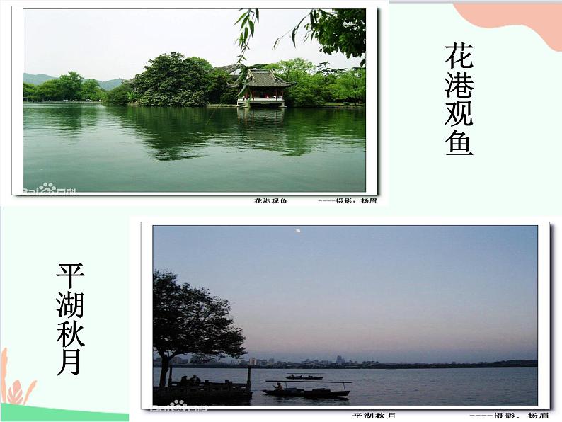 部编版语文八年级上册 13钱塘湖春行课件第6页