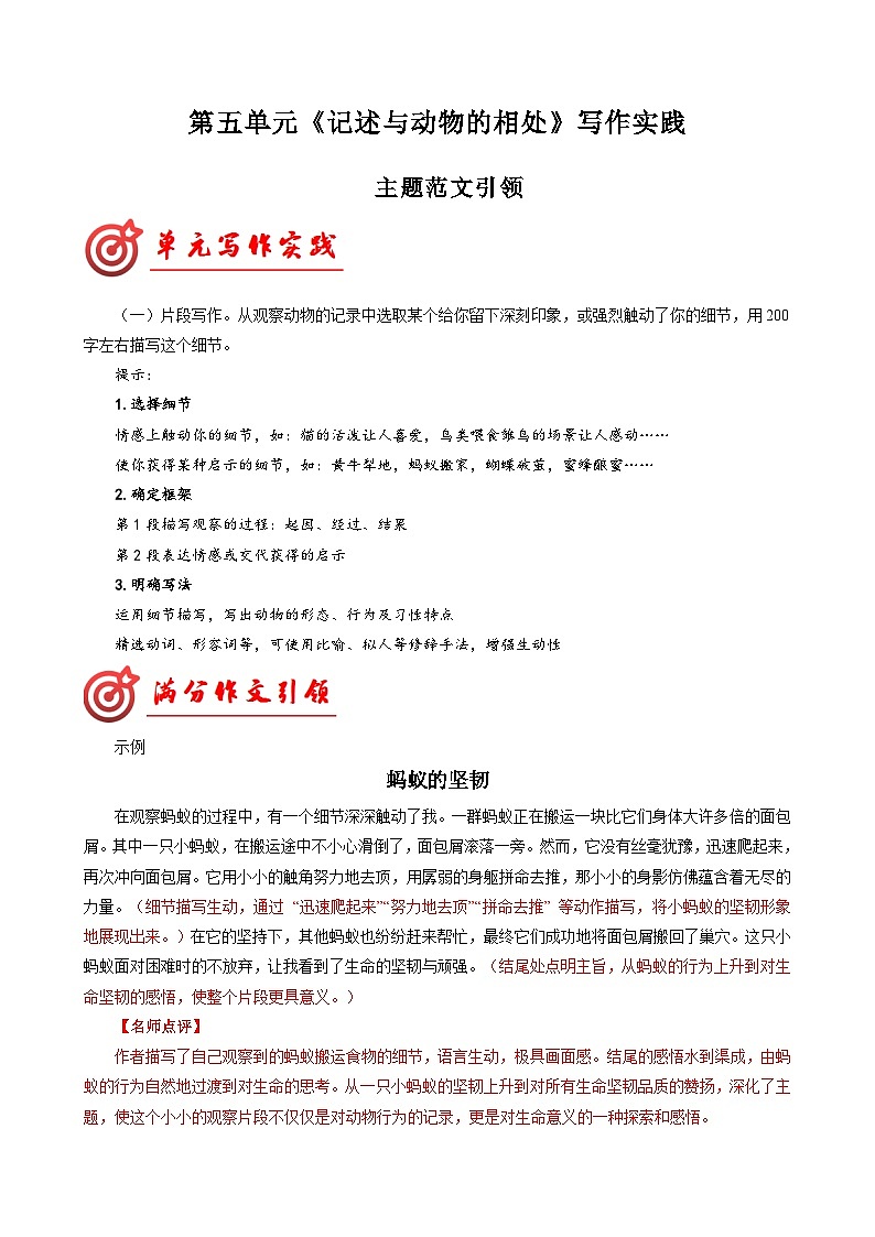 专题19 主题范文引领-2024-2025学年七年级语文上册单元写作深度指导（统编版2024·五四学制）学案01