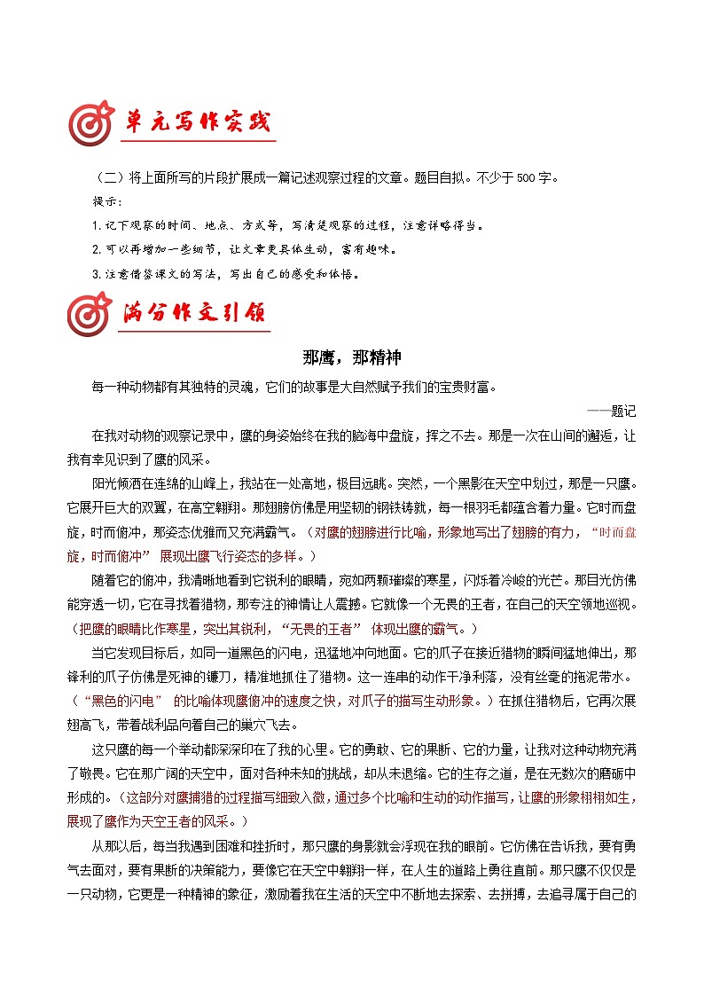 专题19 主题范文引领-2024-2025学年七年级语文上册单元写作深度指导（统编版2024·五四学制）学案02