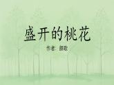 盛開的桃花教學視頻、課件、教案、教學設(shè)計、隨堂練習