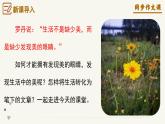 专题01 热爱写作，学会观察 初中作文写作技巧-2024-2025学年七年级语文上册单元写作深度指导（统编版2024·五四学制）学案课件PPT
