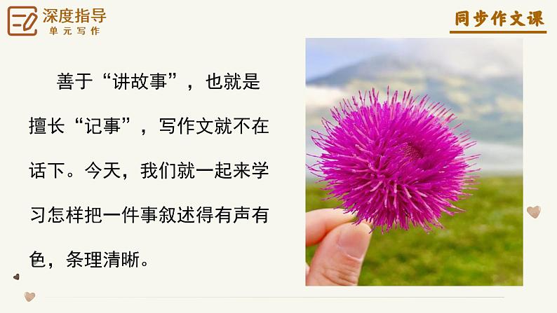 专题05 学会记事 怎么写好一件事？-2024-2025学年七年级语文上册单元写作深度指导（统编版2024·五四学制）学案课件PPT第5页