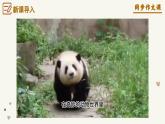专题17 记述与动物的相处 作文开头技巧-2024-2025学年七年级语文上册单元写作深度指导（统编版2024·五四学制）学案课件PPT