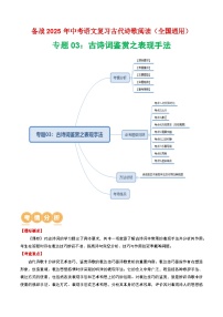 专题03：古诗词鉴赏之表现手法精练-2025年中考语文复习 古代诗歌阅读（全国通用）