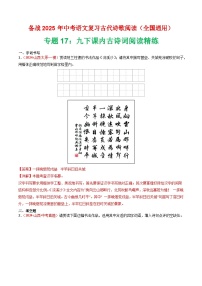 专题17：九下课内古诗词阅读精练-2025年中考语文复习 古代诗歌阅读（全国通用）