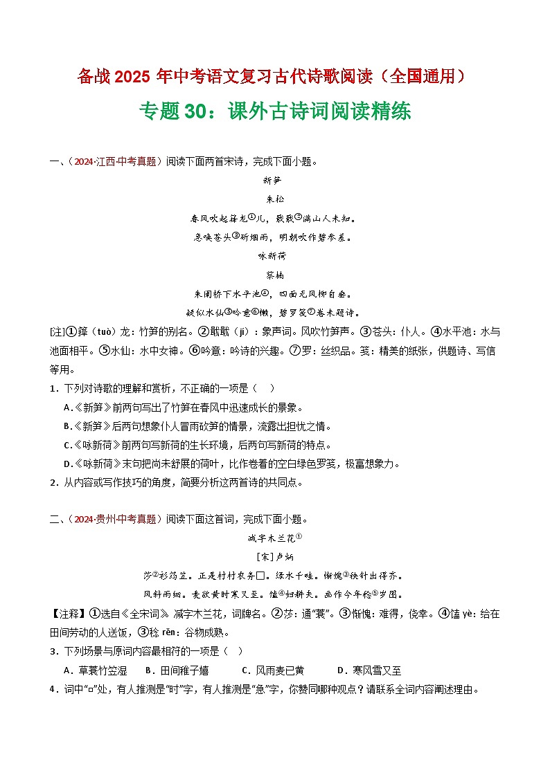 专题30：课外古诗词阅读精练-2025年中考语文复习 古代诗歌阅读（全国通用）（学生版）第1页