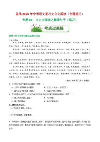 专题03：文言文阅读之翻译句子（练习）-2025年中考语文复习 文言文阅读（全国通用）