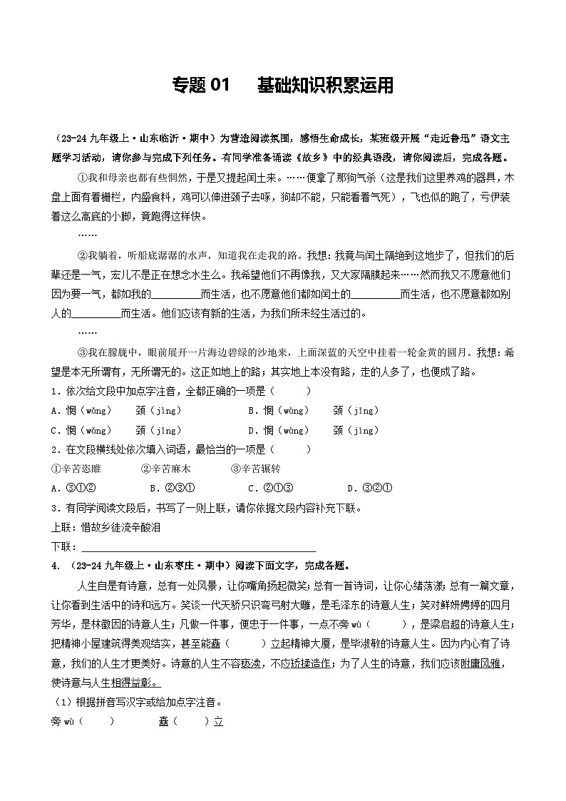 专题01  基础知识积累运用（含答案） 备战2024-2025学年九年级语文上学期期中真题分类汇编（山东专用）练习01