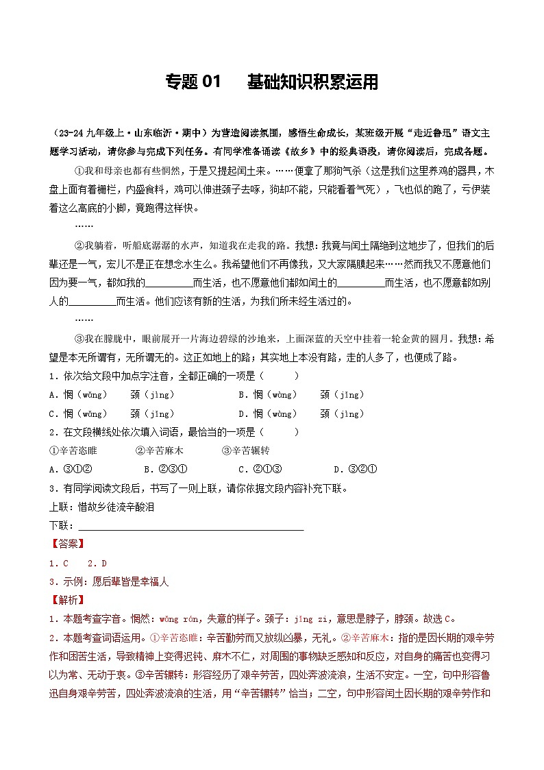 专题01  基础知识积累运用（含答案） 备战2024-2025学年九年级语文上学期期中真题分类汇编（山东专用）练习01
