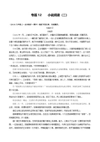 专题12  小说阅读（二）（含答案） 备战2024-2025学年九年级语文上学期期中真题分类汇编（山东专用）练习