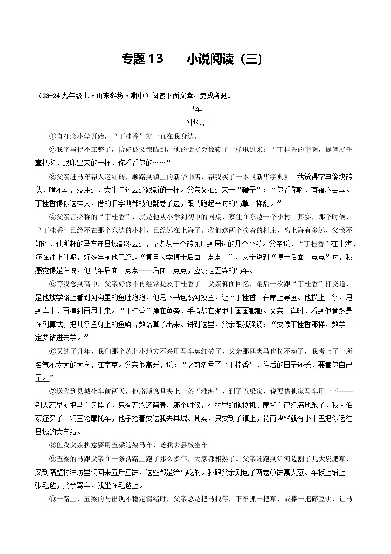 专题13  小说阅读（三）（含答案） 备战2024-2025学年九年级语文上学期期中真题分类汇编（山东专用）练习01