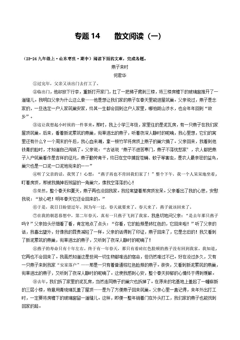 专题14  散文阅读（一）（含答案） 备战2024-2025学年九年级语文上学期期中真题分类汇编（山东专用）练习01