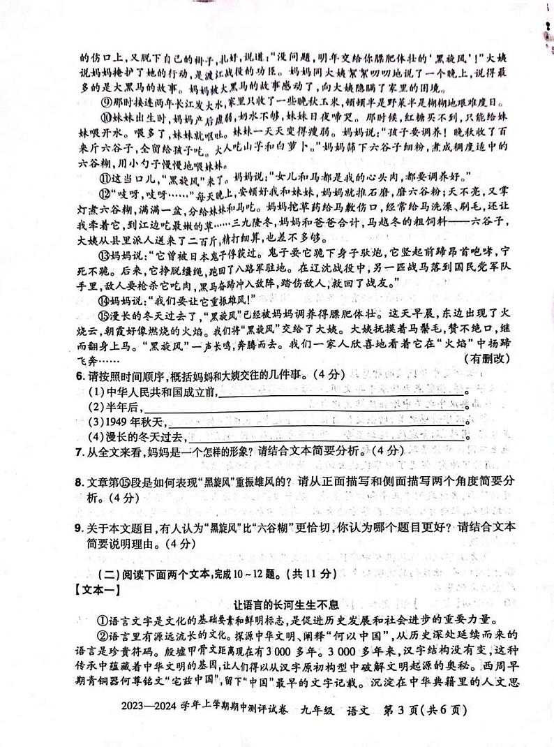 2023-2024洛阳市汝阳县九上期中语文试卷及答案第3页