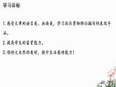 第03课 雨的四季-2024-2025学年七年级语文上册同步课件（部编版2024）