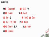 第03课 雨的四季-2024-2025学年七年级语文上册同步课件（部编版2024）