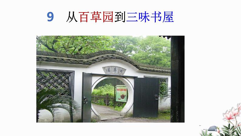 第09课 从百草园到三味书屋-2024-2025学年七年级语文上册同步课件（部编版2024）01