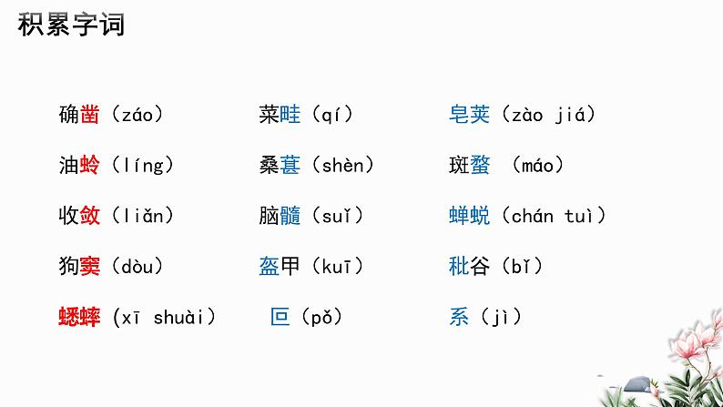 第09课 从百草园到三味书屋-2024-2025学年七年级语文上册同步课件（部编版2024）05