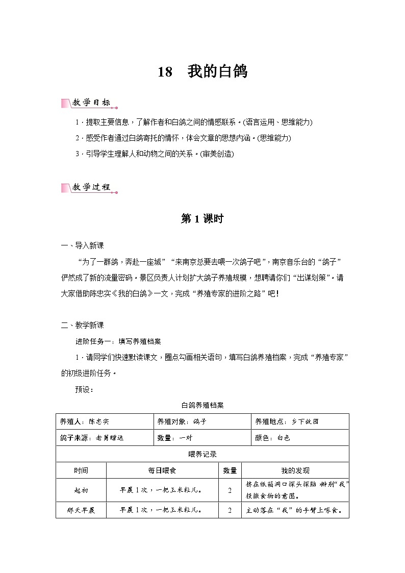 2024年部编语文七年级上册第5单元 18《我的白鸽》核心素养教案01
