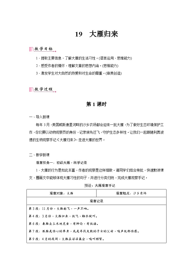 2024年部编语文七年级上册第5单元 19《大雁归来》核心素养教案第1页