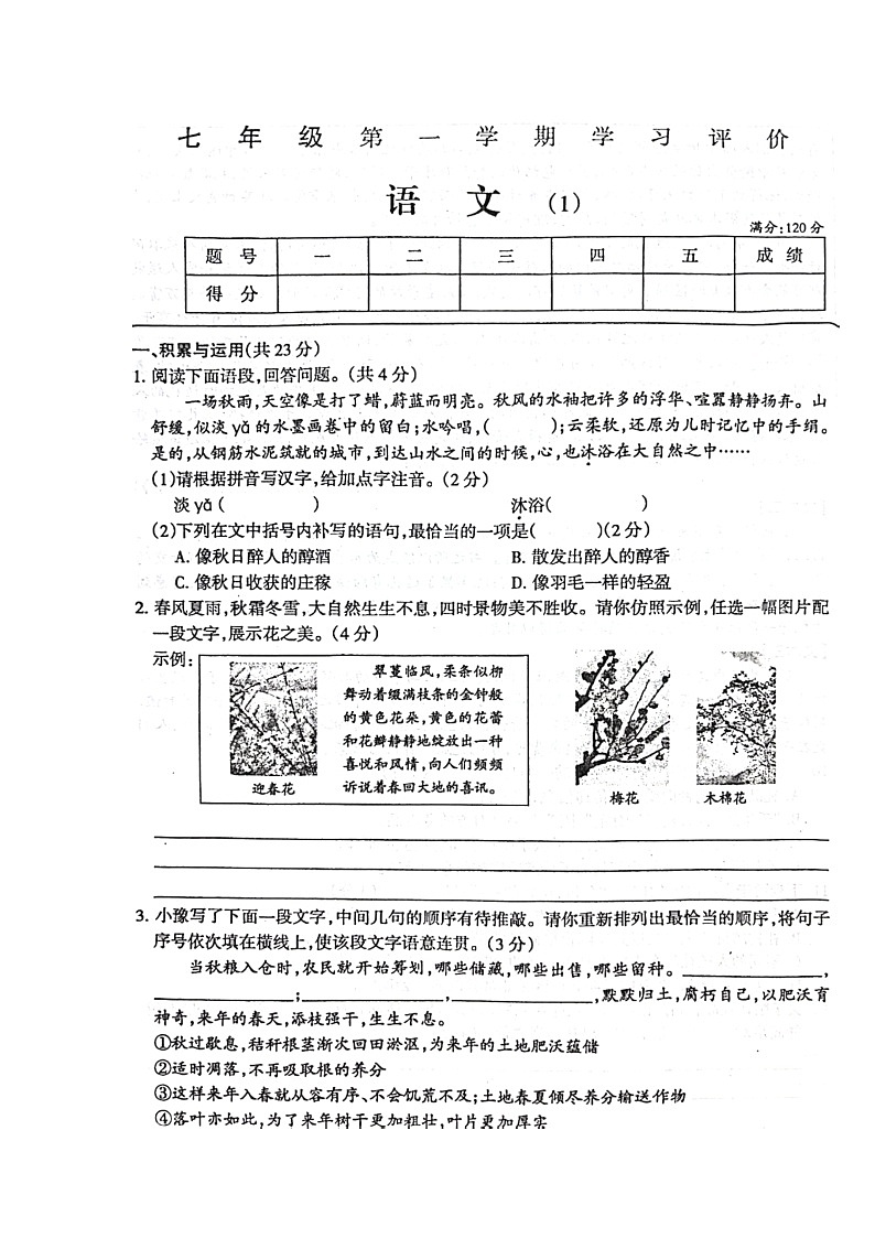 河南省周口市淮阳区大连乡育才初级中学2024-2025学年七年级上学期10月月考语文试题第1页