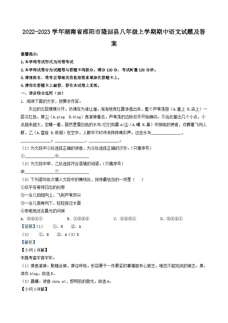 2022-2023学年湖南省邵阳市隆回县八年级上学期期中语文试题及答案第1页