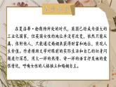 人教版语文九年级上册 第6单元 名著导读 《简·爱》 外国小说的阅读 PPT课件+教案